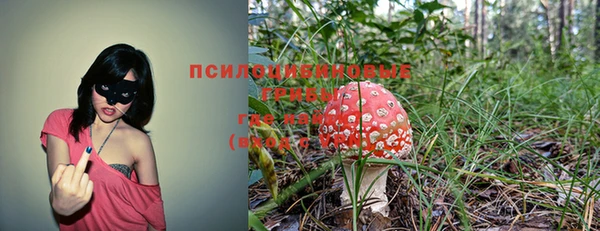 круглые Гусь-Хрустальный